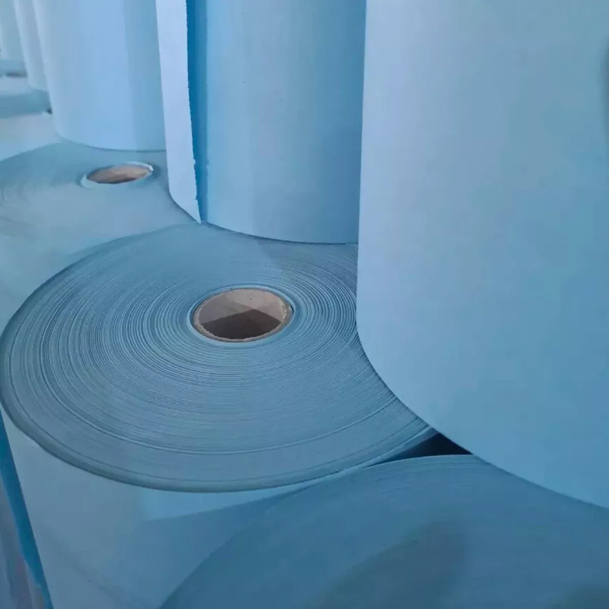 Rollo de Papel Pino 50 cm – 5 kg
